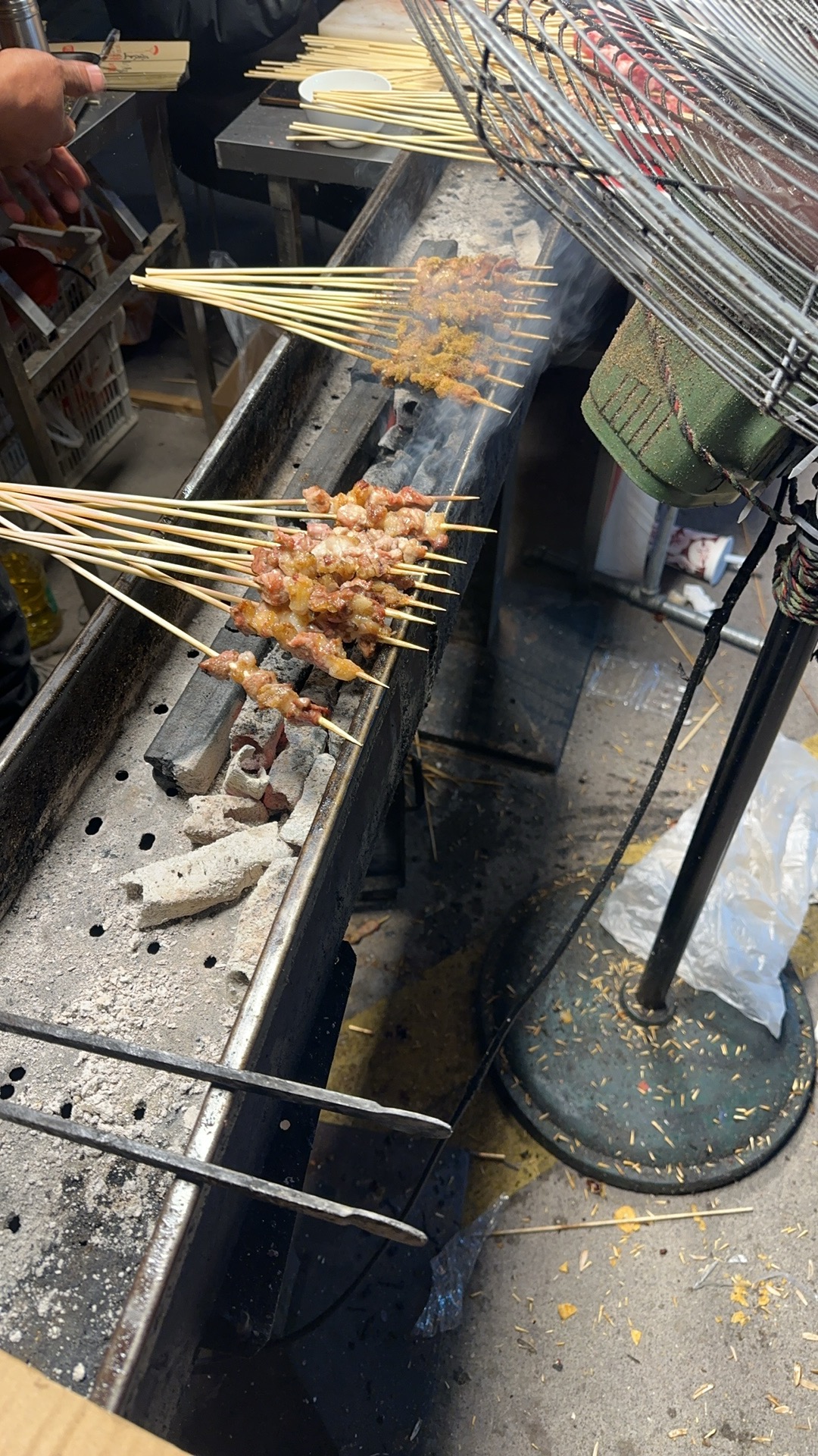 晚归的串儿和粉，是今天的小暖炉