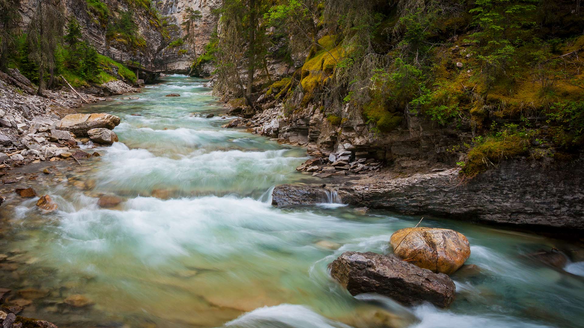小奶娃的快乐超简单！
